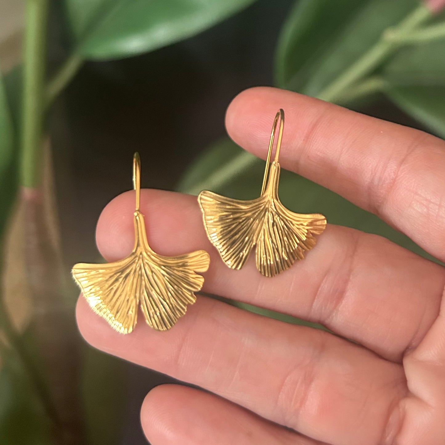 Ginkgo D’or